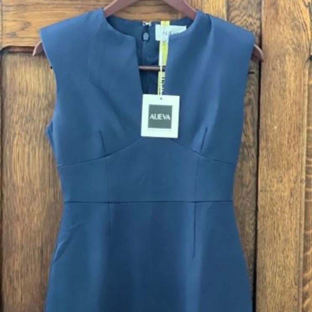 Alieva LIANNA DEEP SLIT NECKLINE DRESS (NAVY BLUE)